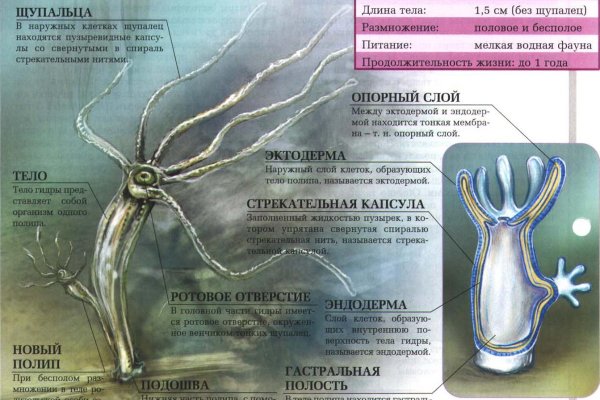Кракен площадка vk2 top
