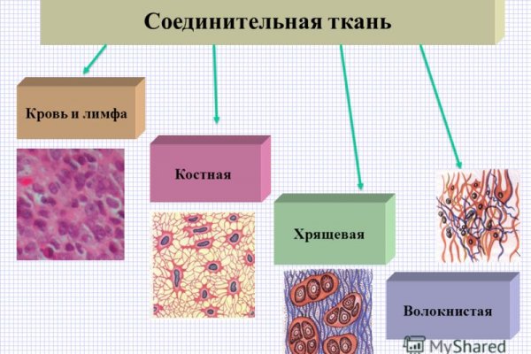 Зеркала тор