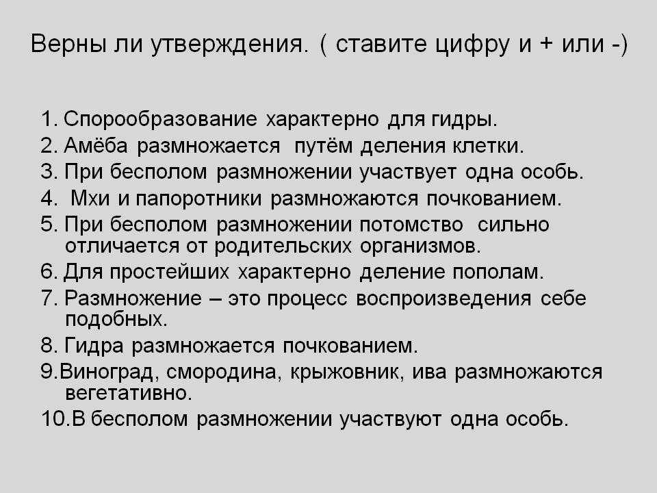 Тор для кракена
