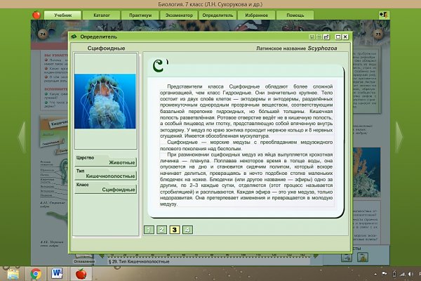 Кракен тор ссылка онион